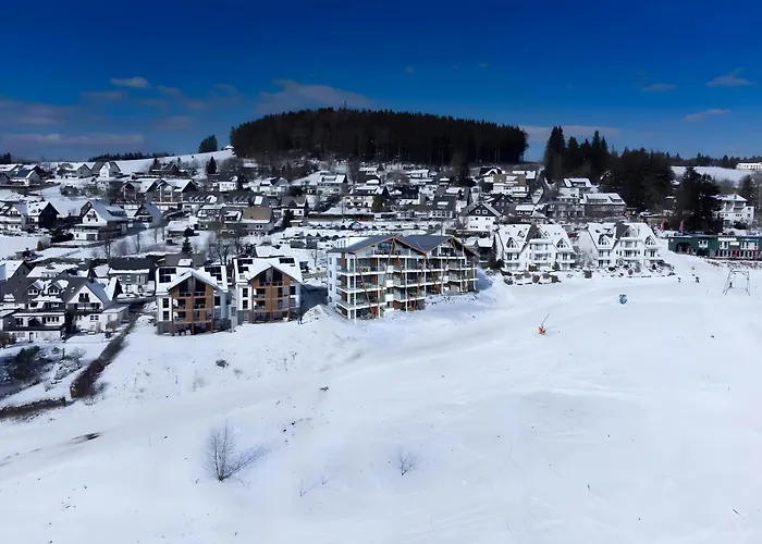 Holiday home Wellnessappartement D4 Winterberg